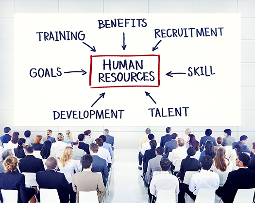 Business People Learning About Human Resources